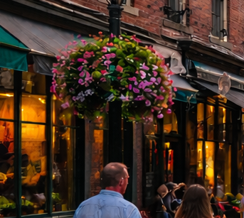 Old Port, Portland Maine Tours