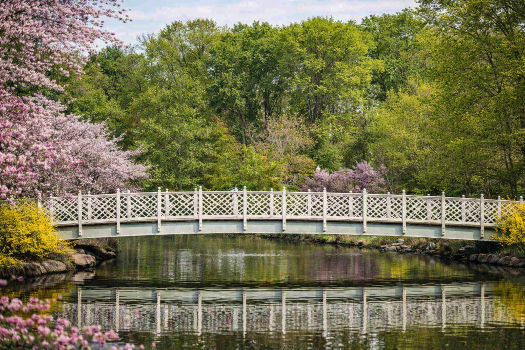 White lattice footbridge over pond at Quiet Waters Park in Annapolis Maryland with spring trees reflected in the water - Annapolis tours