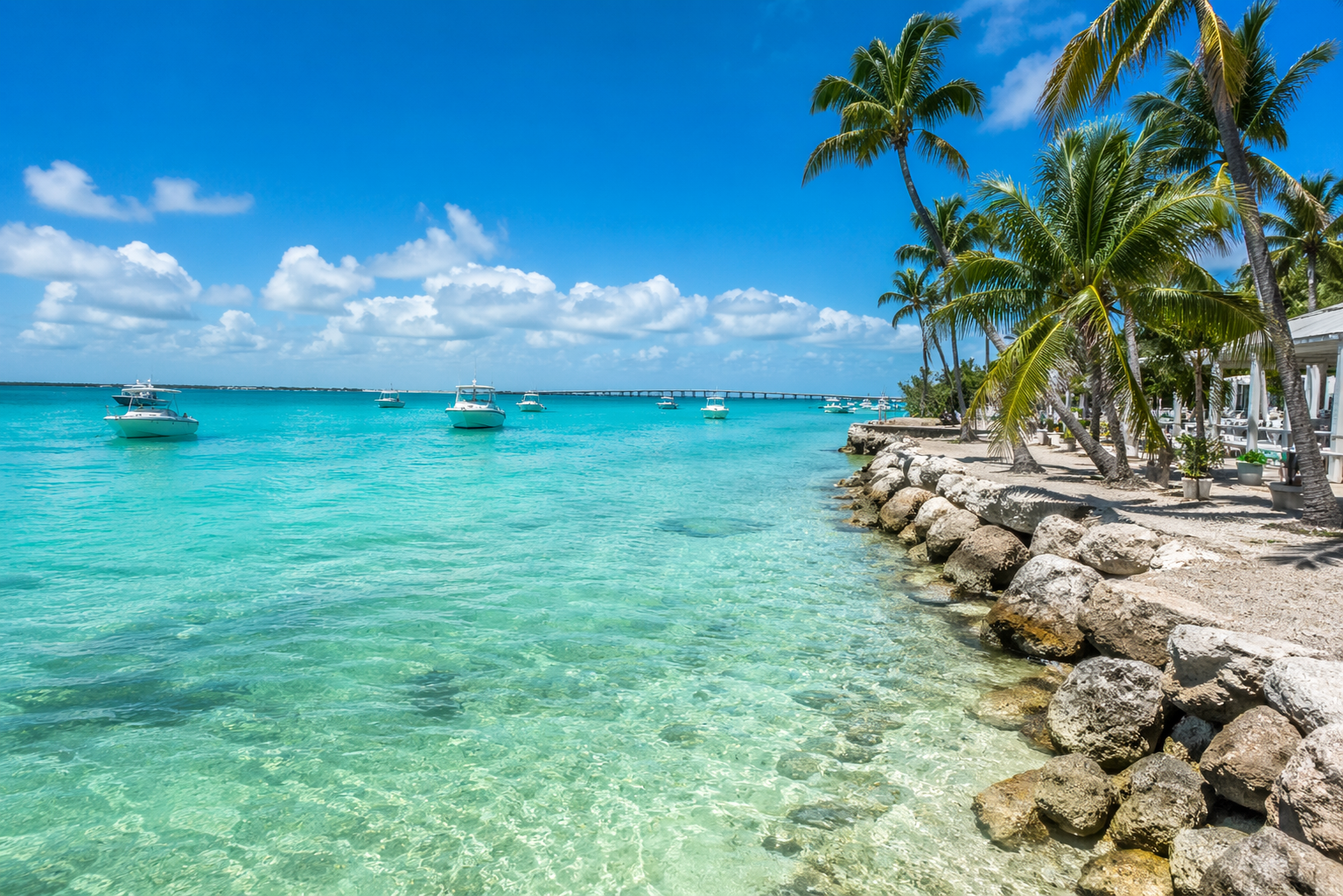 Islamorada tours along a tropical Florida Keys shoreline with clear turquoise water, palm trees, and boats near the reef under a bright blue sky